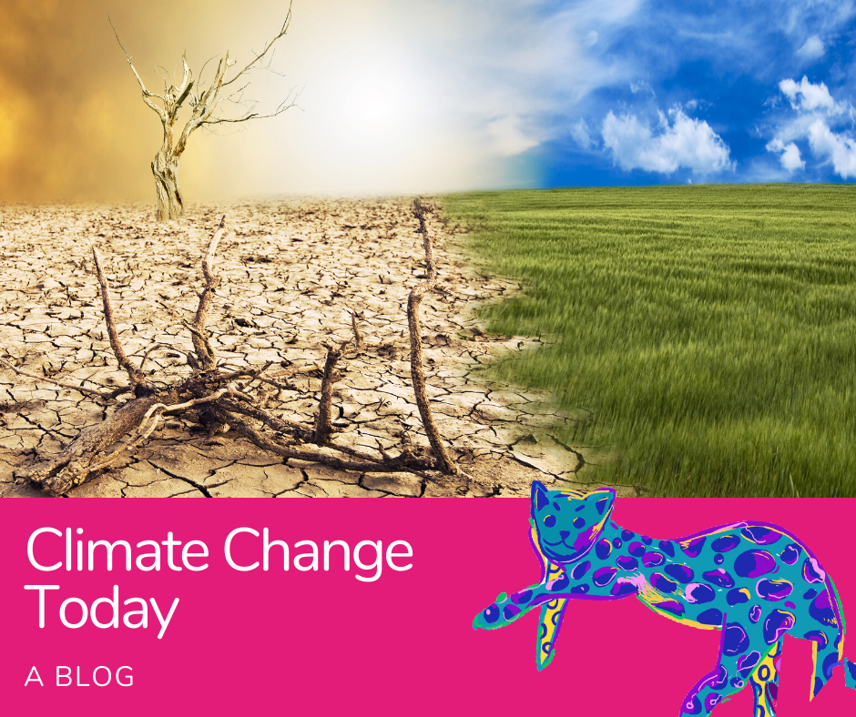 Climate Change Today