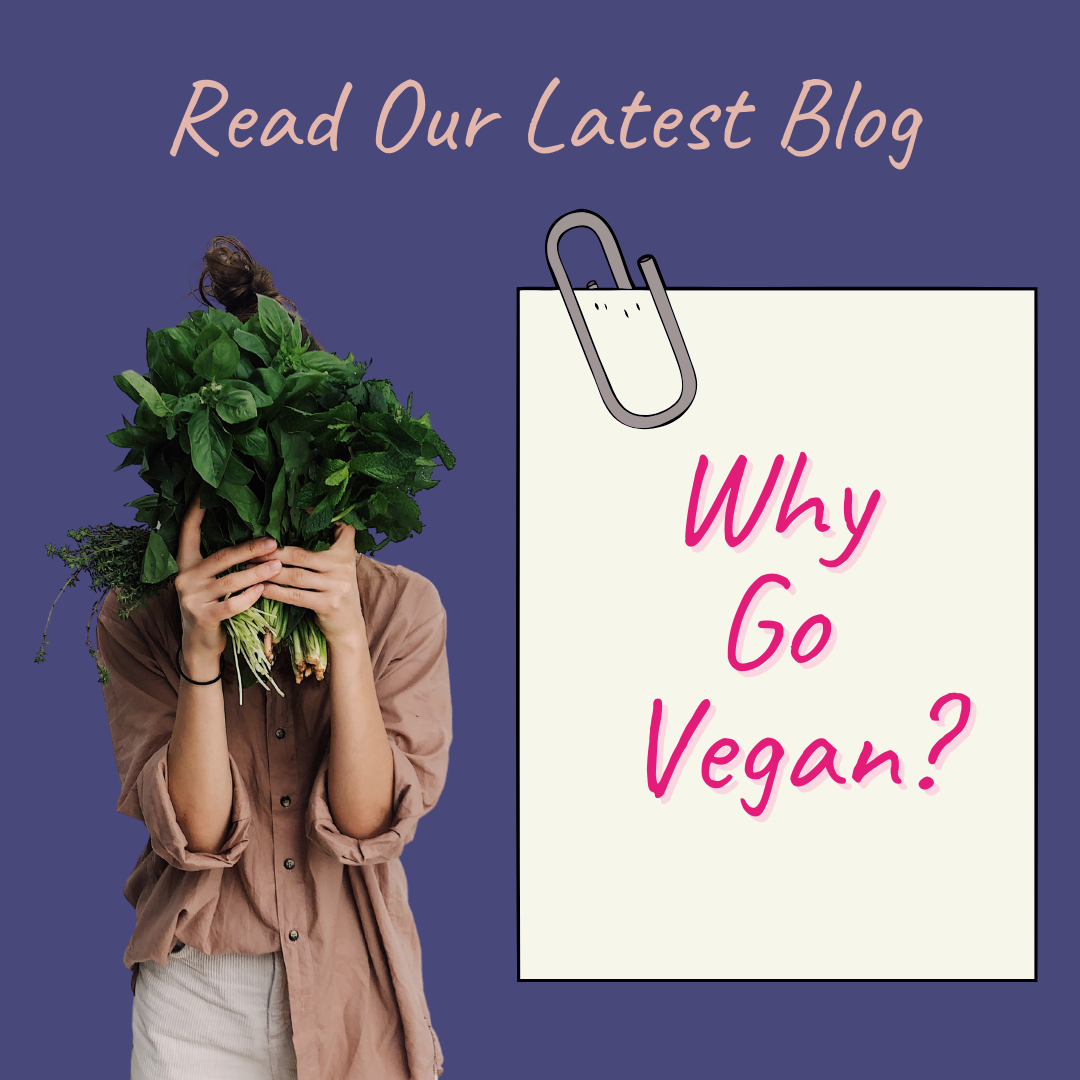 Why Go Vegan