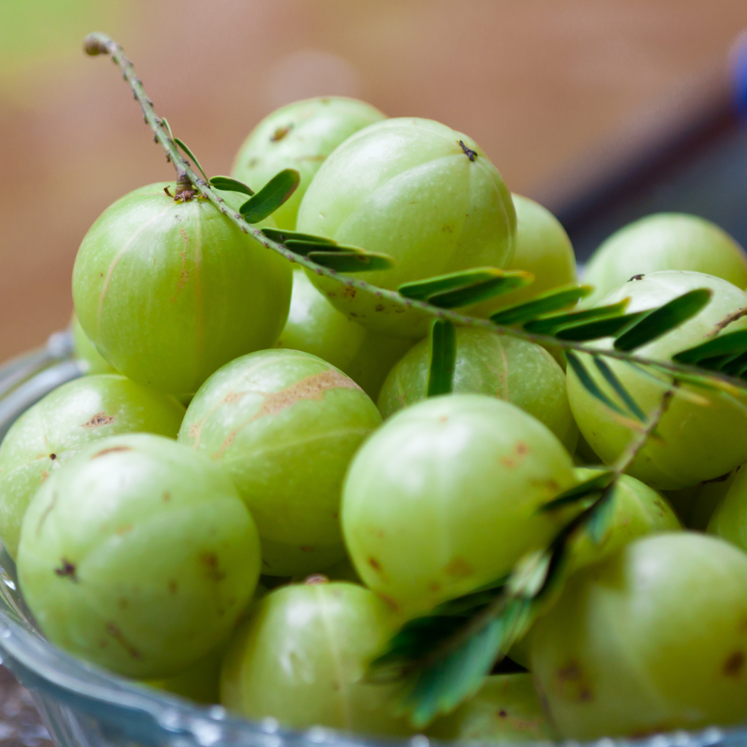 Unlock the Ayurvedic Magic: How Amla-Infused Hair Oil Can Transform Your Hair