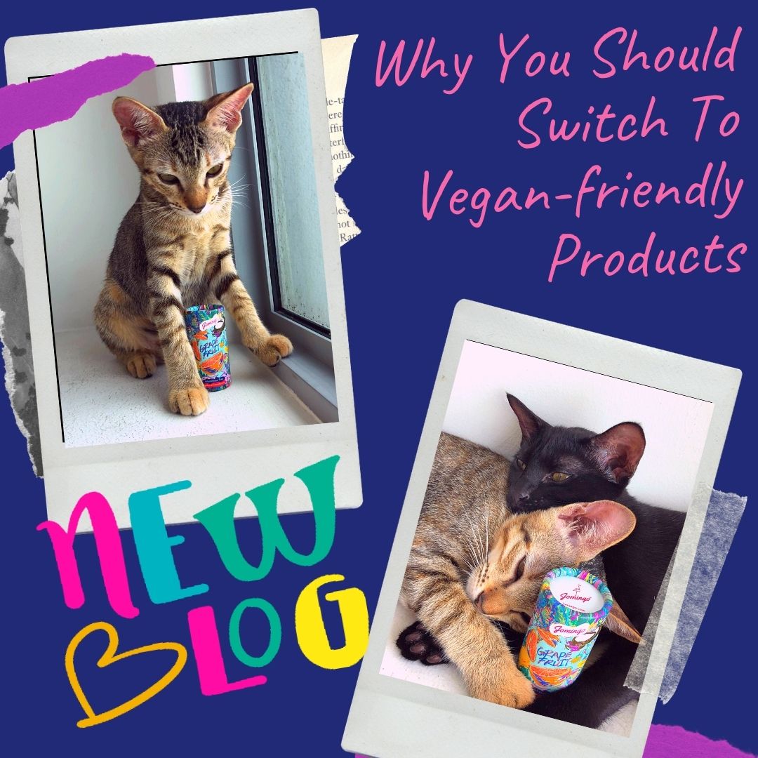 Why You Should Switch To Vegan-Friendly Products