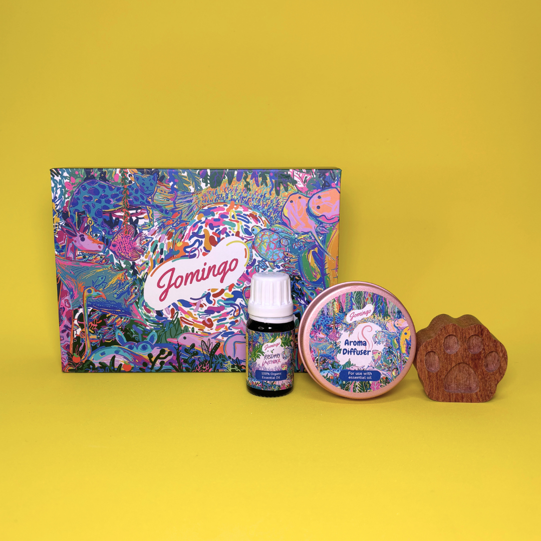 Top 5 Eco-Friendly Gift Sets in Singapore for Under $50 (2026 Guide)