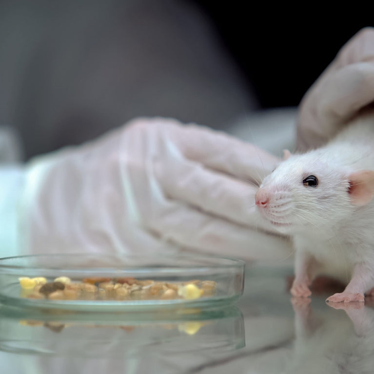 Why you should choose crueltyfree deodorant and which brands to consi